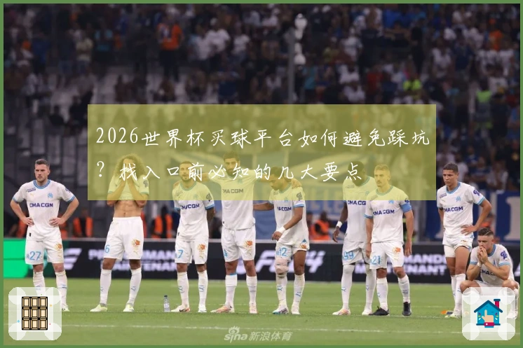 2026世界杯买球平台如何避免踩坑？找入口前必知的几大要点