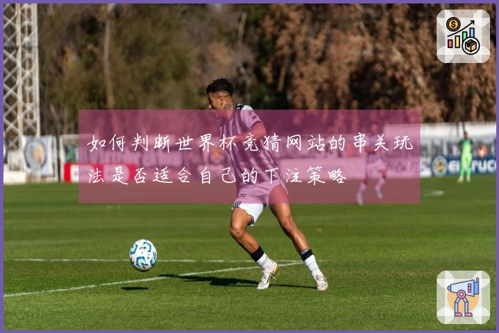 如何判断世界杯竞猜网站的串关玩法是否适合自己的下注策略