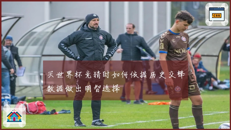 买世界杯竞猜时如何依据历史交锋数据做出明智选择
