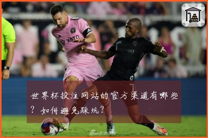 世界杯投注网站的官方渠道有哪些?如何避免踩坑?