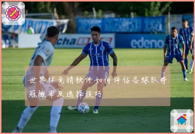 世界杯竞猜软件如何评估各球队夺冠概率及选择技巧
