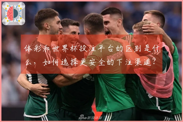 体彩和世界杯投注平台的区别是什么，如何选择更安全的下注渠道？