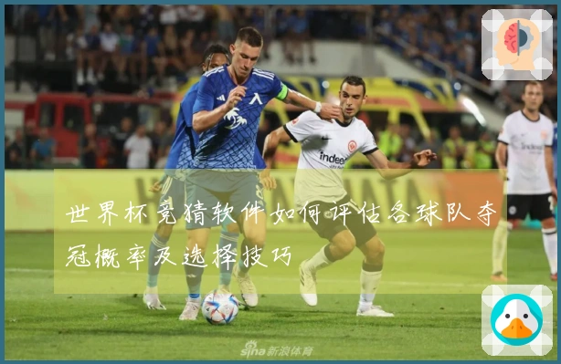 世界杯竞猜软件如何评估各球队夺冠概率及选择技巧