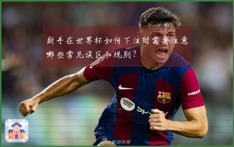 新手在世界杯如何下注时需要注意哪些常见误区和规则？