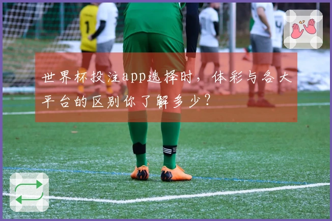 世界杯投注app选择时，体彩与各大平台的区别你了解多少？