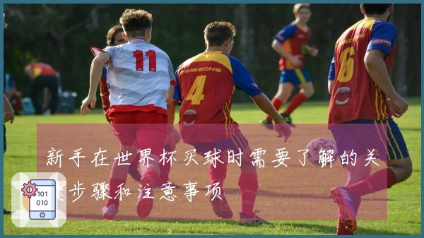 新手在世界杯买球时需要了解的关键步骤和注意事项
