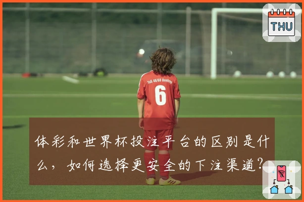 体彩和世界杯投注平台的区别是什么，如何选择更安全的下注渠道？