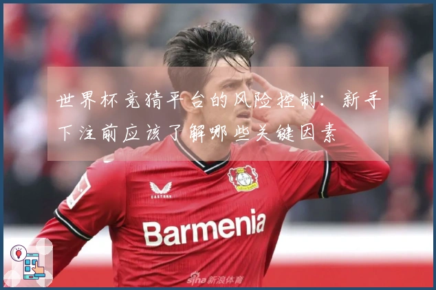 世界杯竞猜平台的风险控制：新手下注前应该了解哪些关键因素