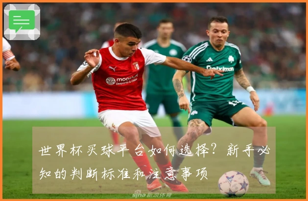 世界杯买球平台如何选择？新手必知的判断标准和注意事项