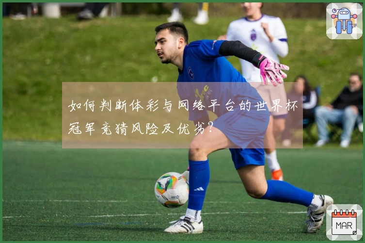 如何判断体彩与网络平台的世界杯冠军竞猜风险及优劣？
