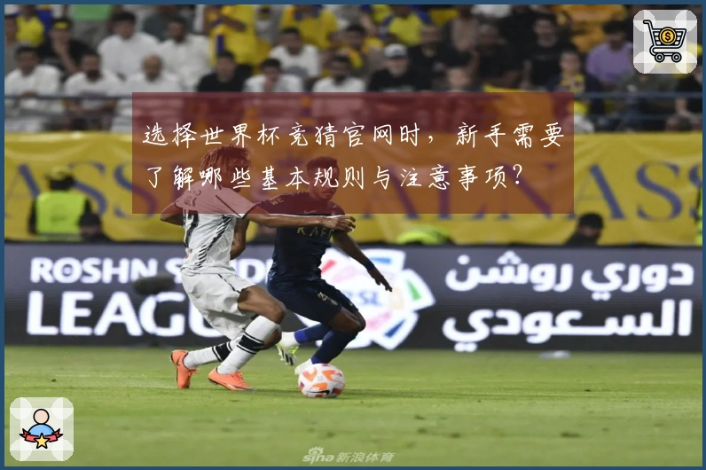 选择世界杯竞猜官网时，新手需要了解哪些基本规则与注意事项？
