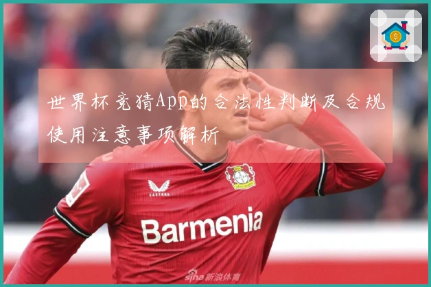 世界杯竞猜App的合法性判断及合规使用注意事项解析