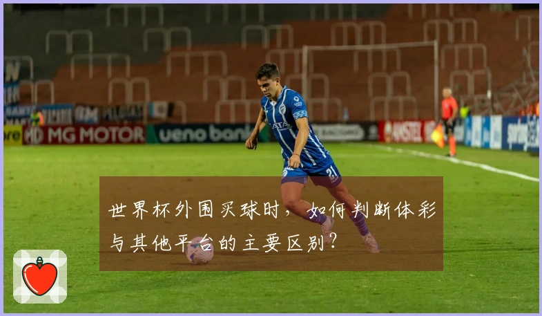 世界杯外围买球时，如何判断体彩与其他平台的主要区别？