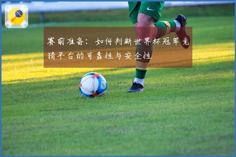 赛前准备：如何判断世界杯冠军竞猜平台的可靠性与安全性