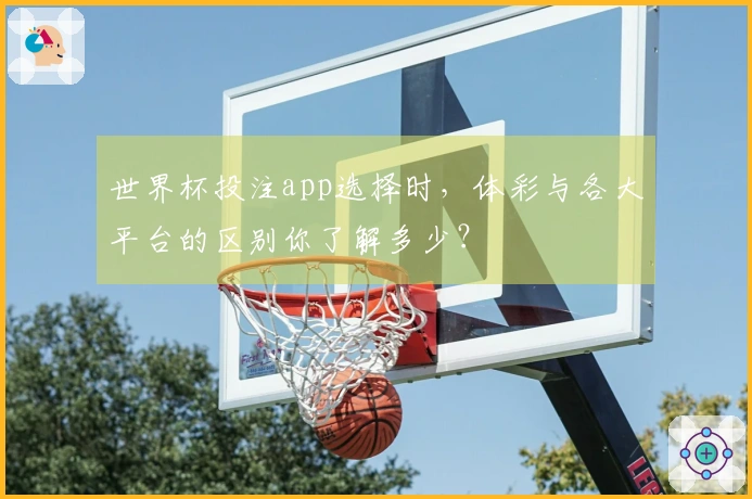 世界杯投注app选择时，体彩与各大平台的区别你了解多少？