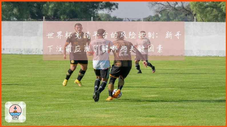 世界杯竞猜平台的风险控制：新手下注前应该了解哪些关键因素