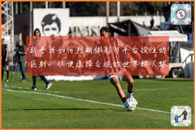 新手该如何判断体彩与平台投注的区别，以便选择合适的世界杯买球方式