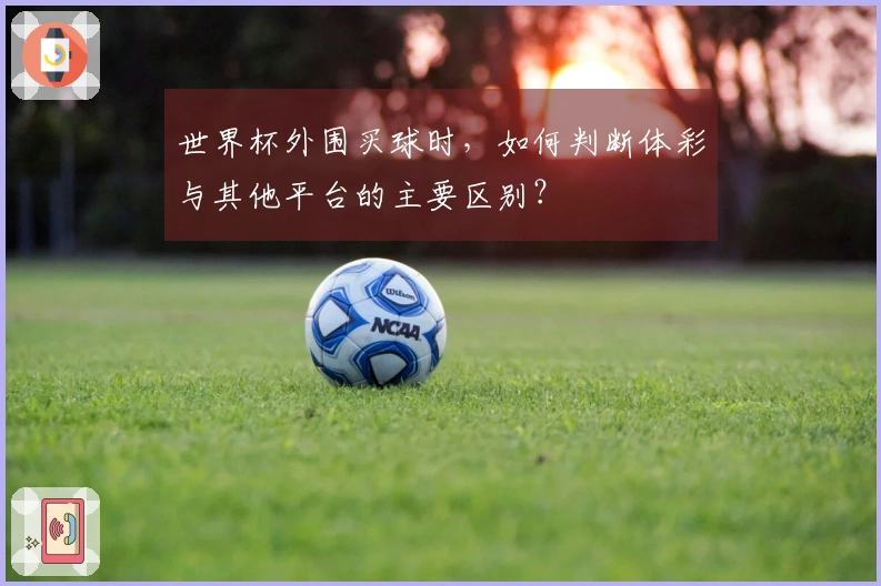 世界杯外围买球时，如何判断体彩与其他平台的主要区别？